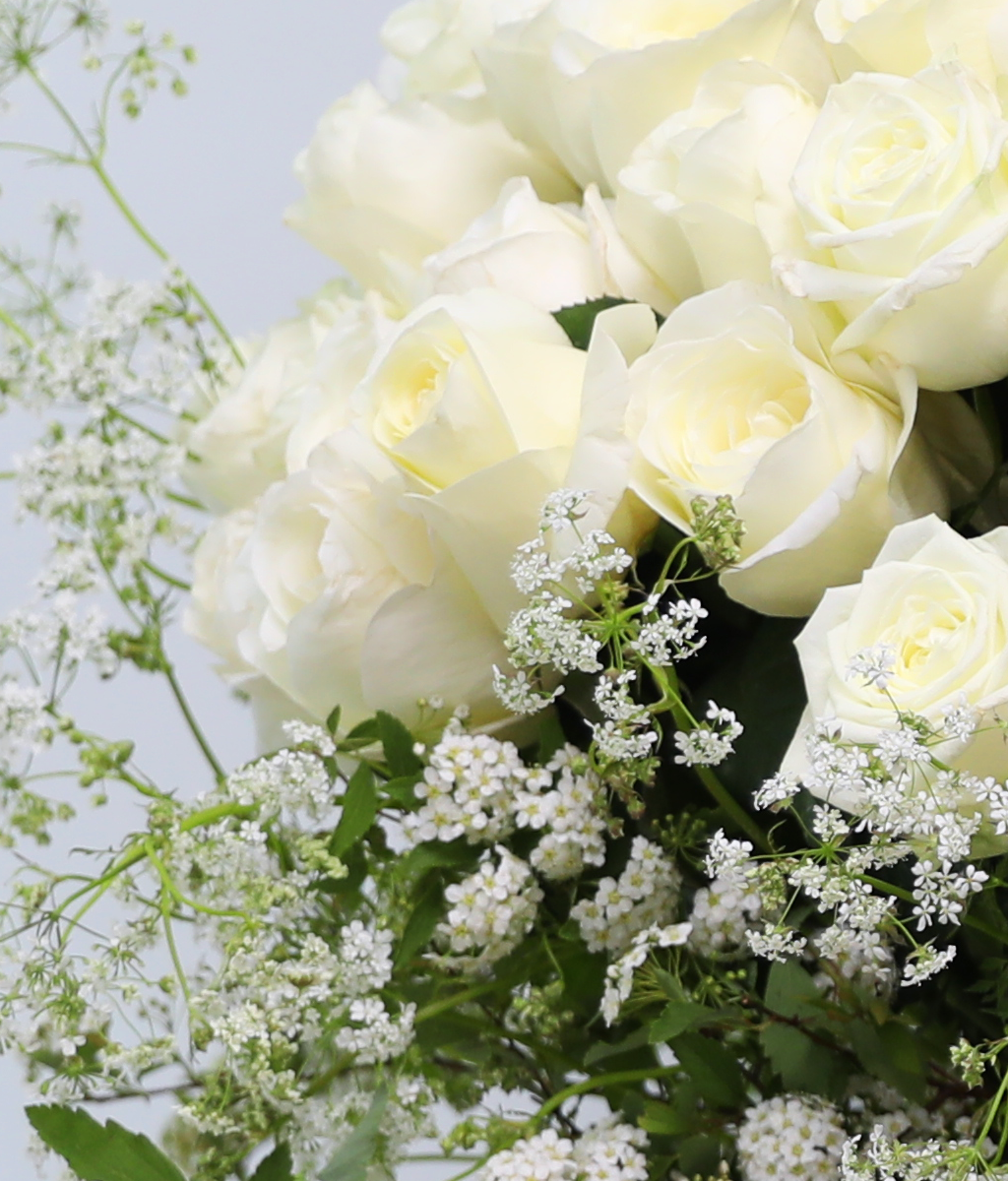 A Pure Wish ���� �ɹ��