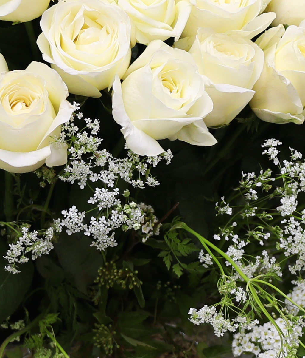 A Pure Wish ���� �ɹ��