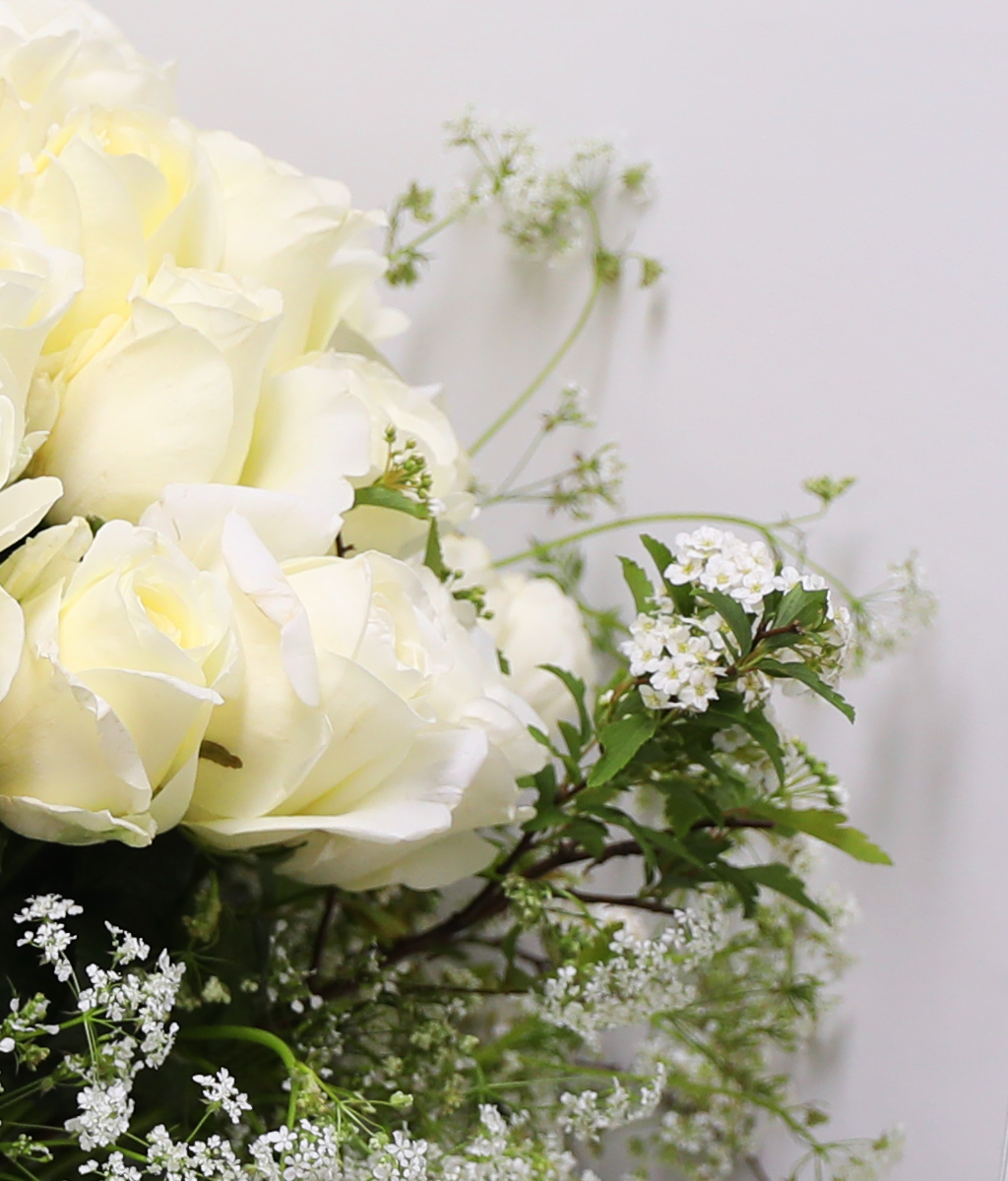 A Pure Wish ���� �ɹ��