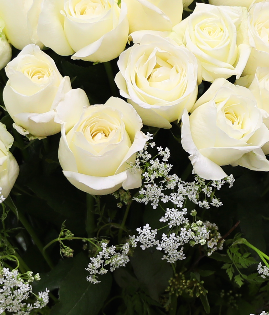 A Pure Wish ���� �ɹ��