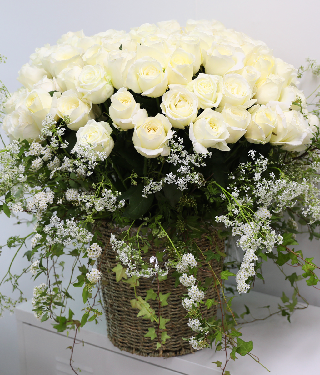 A Pure Wish ���� �ɹ��