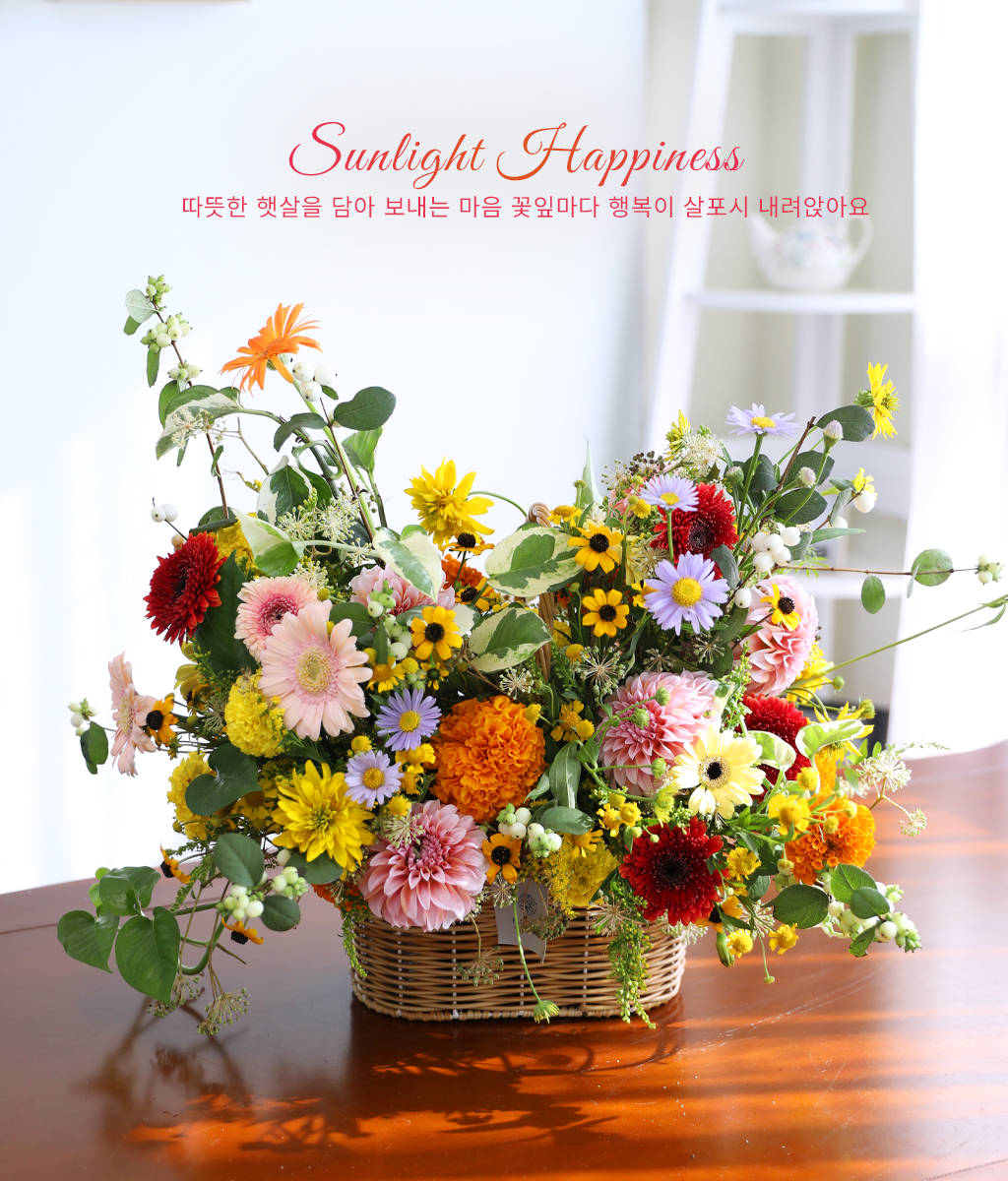 Sunlight Happiness ���� �ɹ��