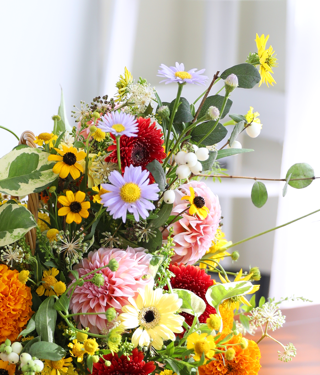 Sunlight Happiness ���� �ɹ��