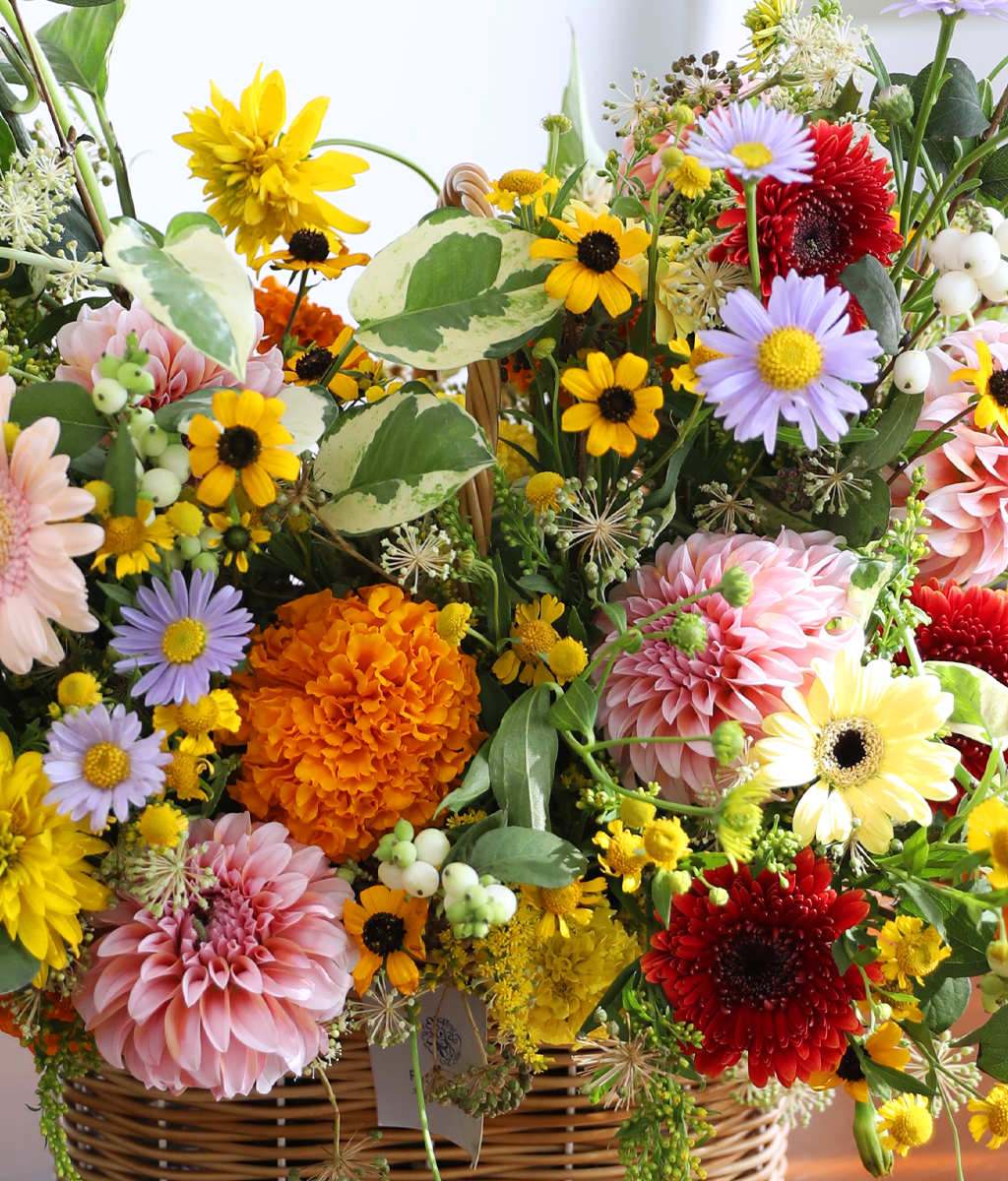 Sunlight Happiness ���� �ɹ��