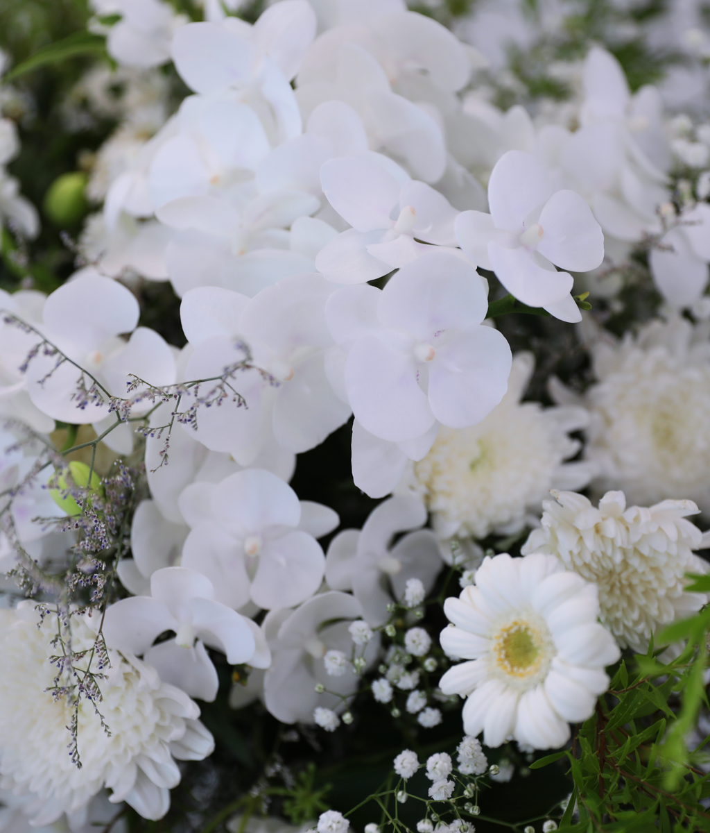 With Deepest Sympathy ���� �ɹ��