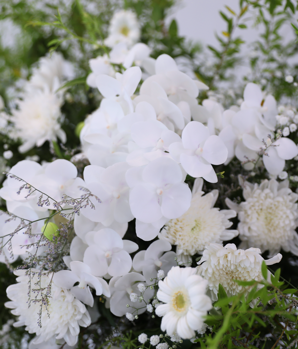 With Deepest Sympathy ���� �ɹ��