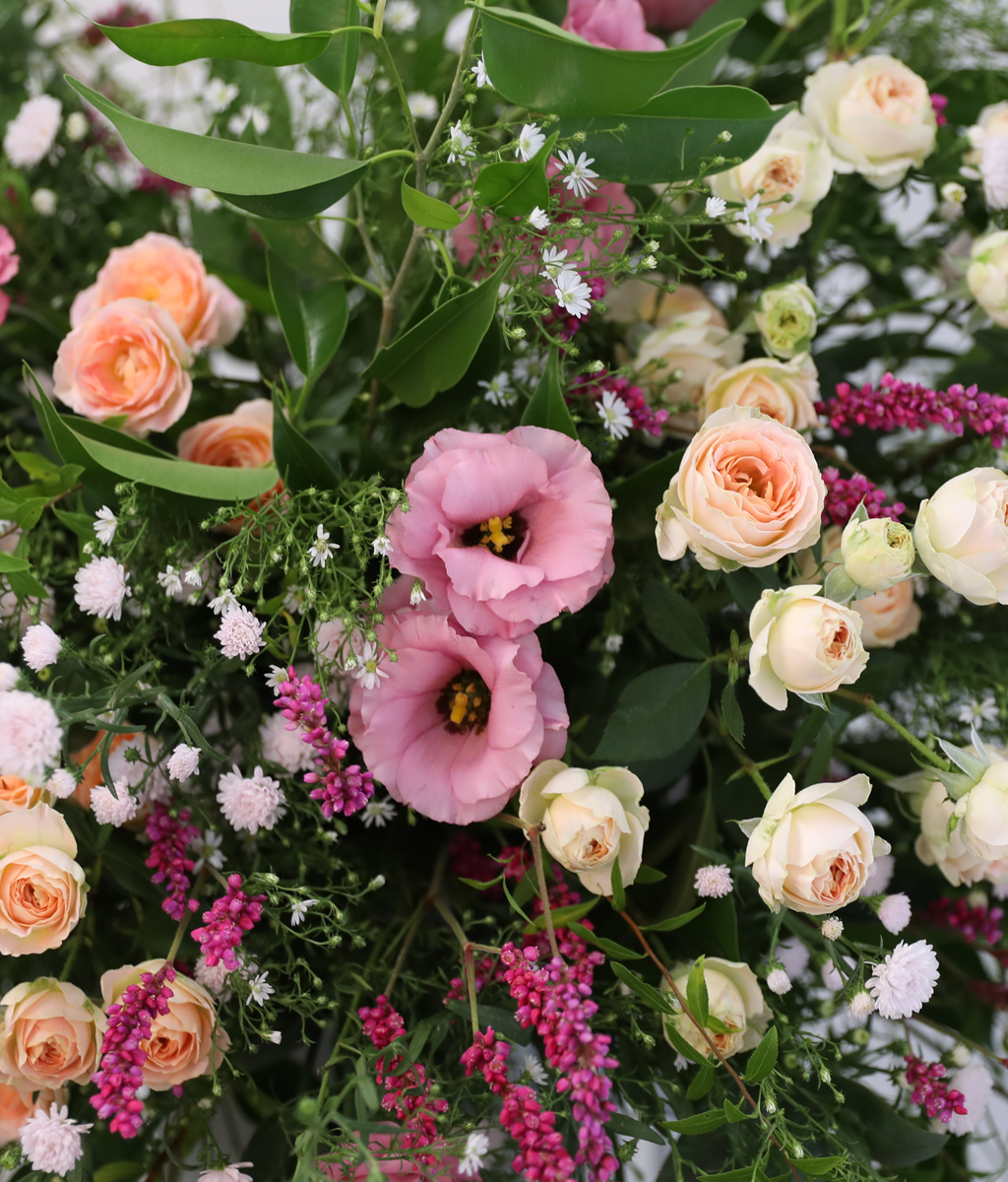 Where Warm Blessings Bloom ���� �ɹ��