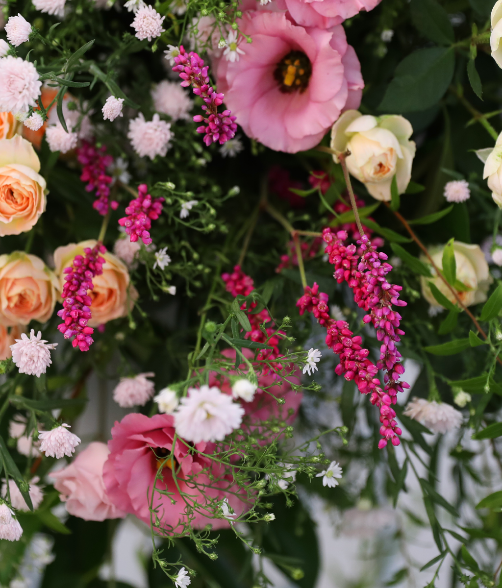 Where Warm Blessings Bloom ���� �ɹ��