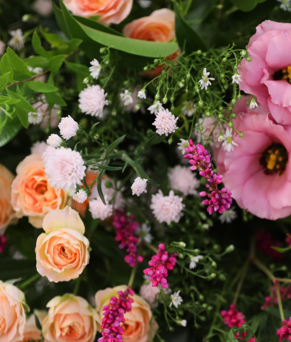 Where Warm Blessings Bloom ���� �ɹ��