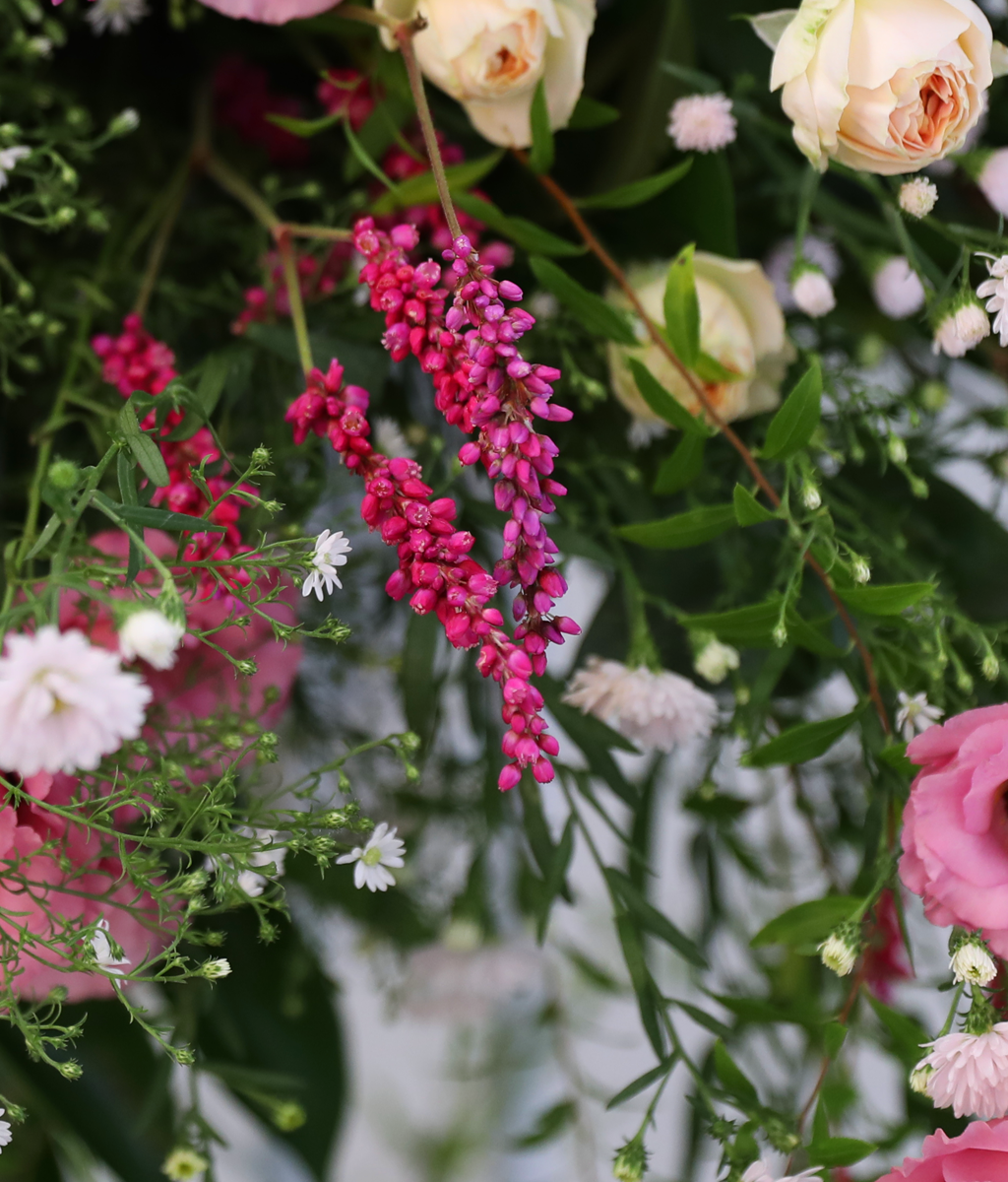 Where Warm Blessings Bloom ���� �ɹ��