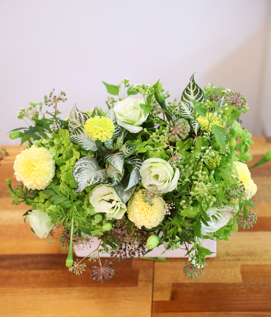 �ʷ� �� ��� ���� �ɹ��