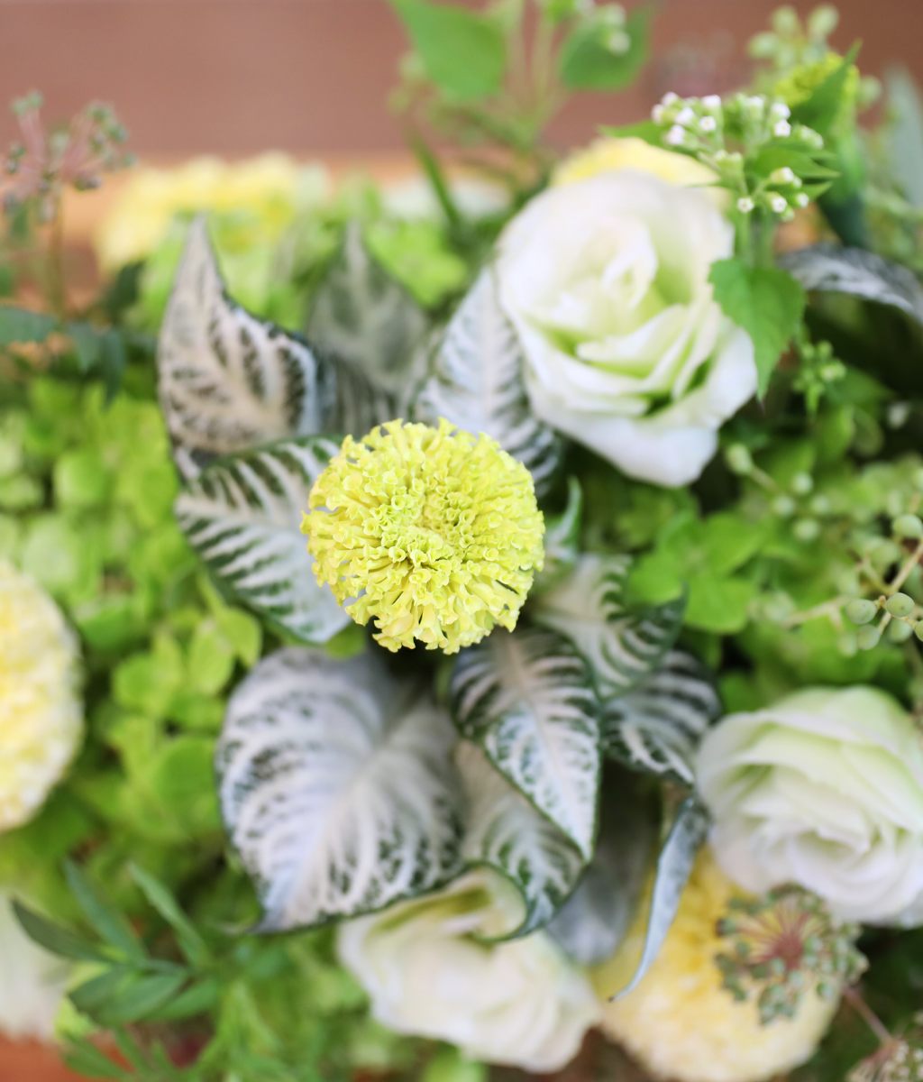 �ʷ� �� ��� ���� �ɹ��