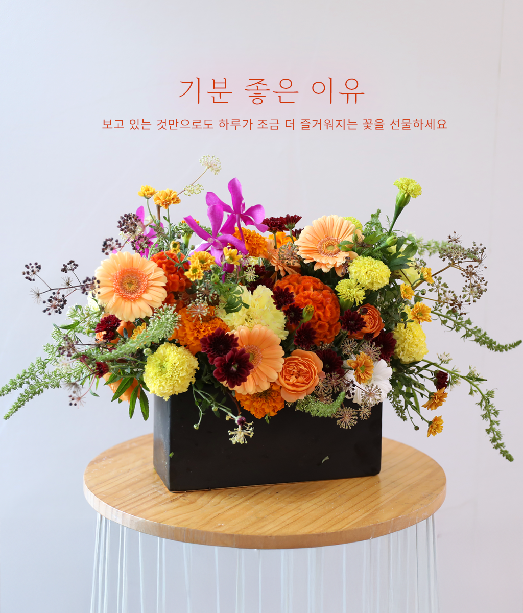 ��� ���� ���� ���� �ɹ��