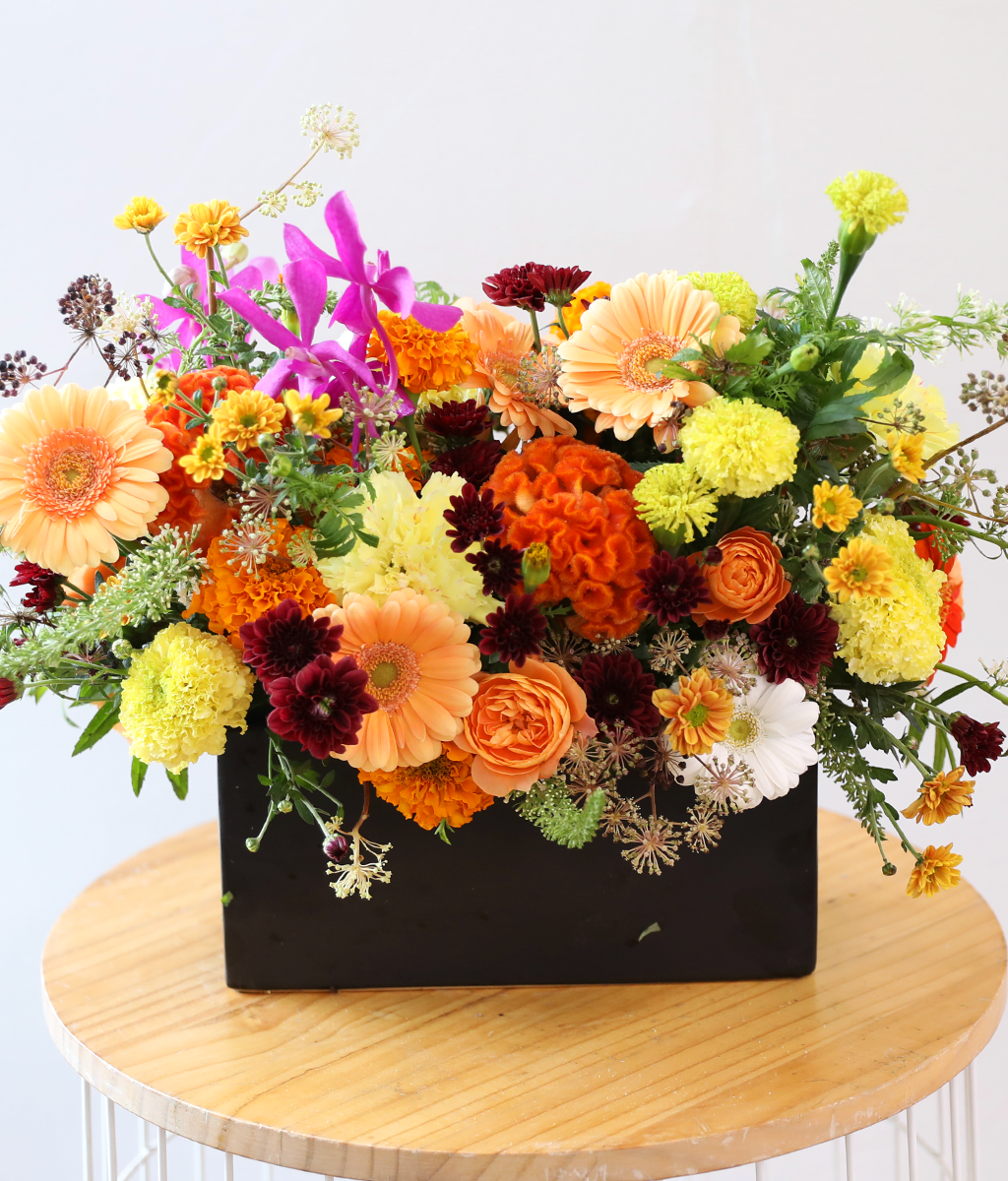 ��� ���� ���� ���� �ɹ��