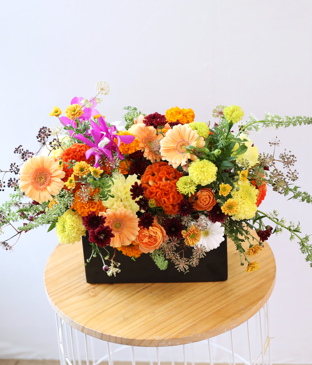 ��� ���� ���� ���� �ɹ��