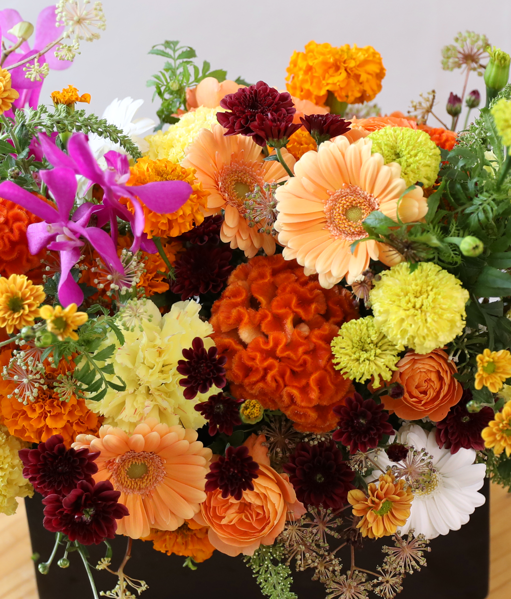 ��� ���� ���� ���� �ɹ��