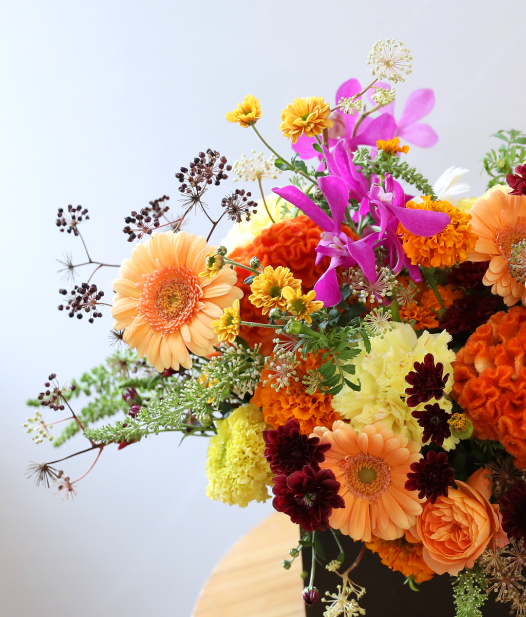 ��� ���� ���� ���� �ɹ��