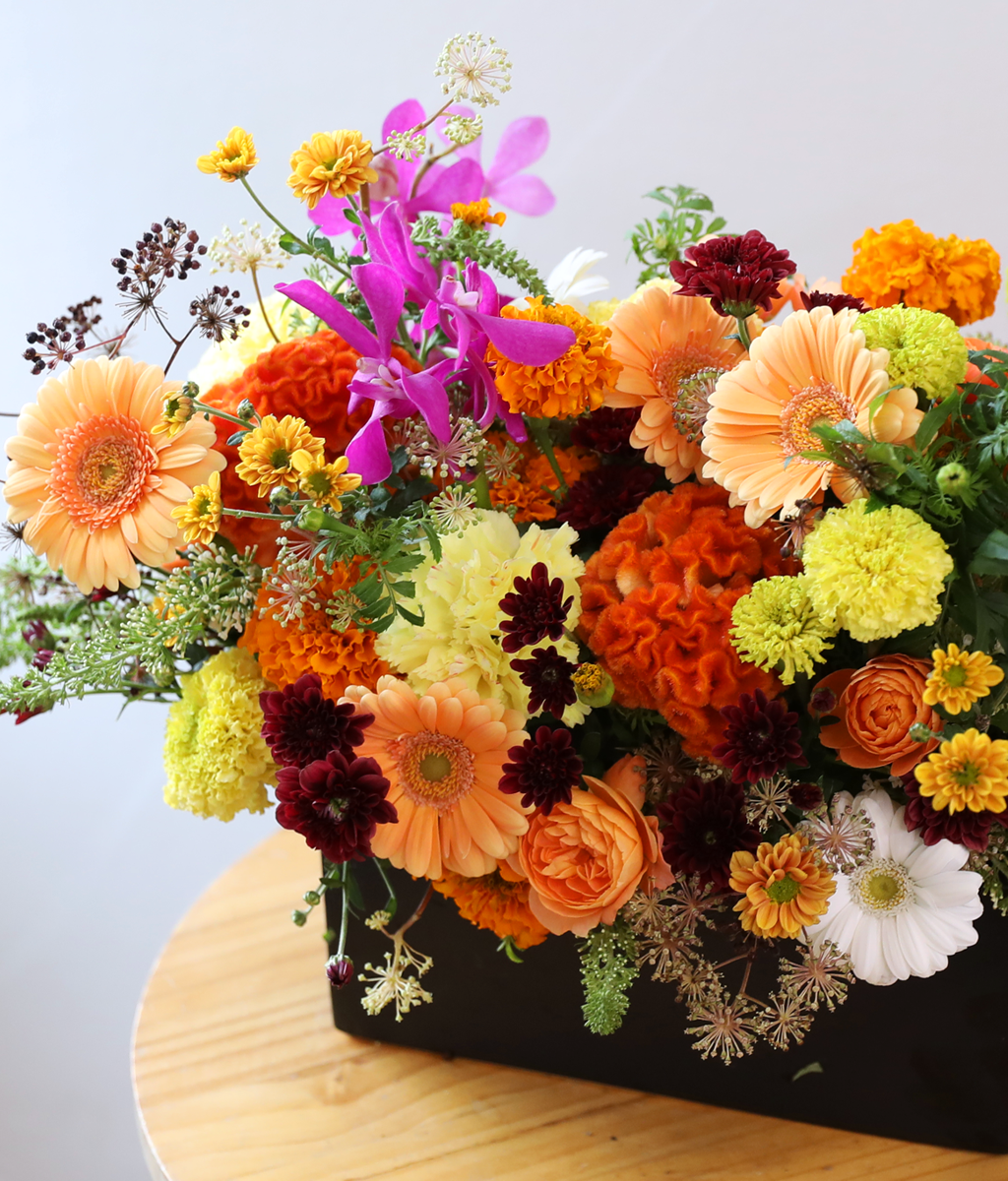 ��� ���� ���� ���� �ɹ��