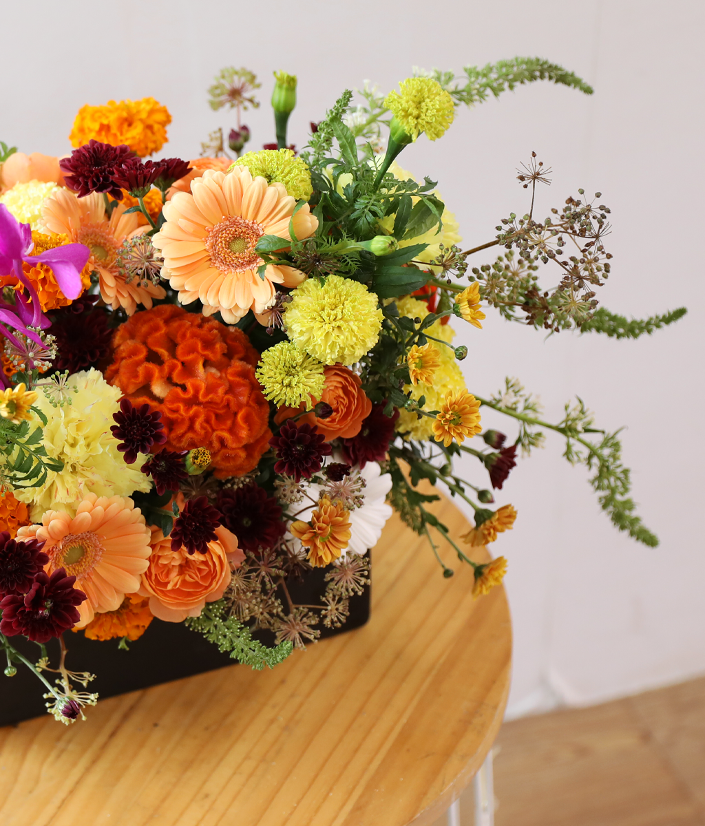 ��� ���� ���� ���� �ɹ��