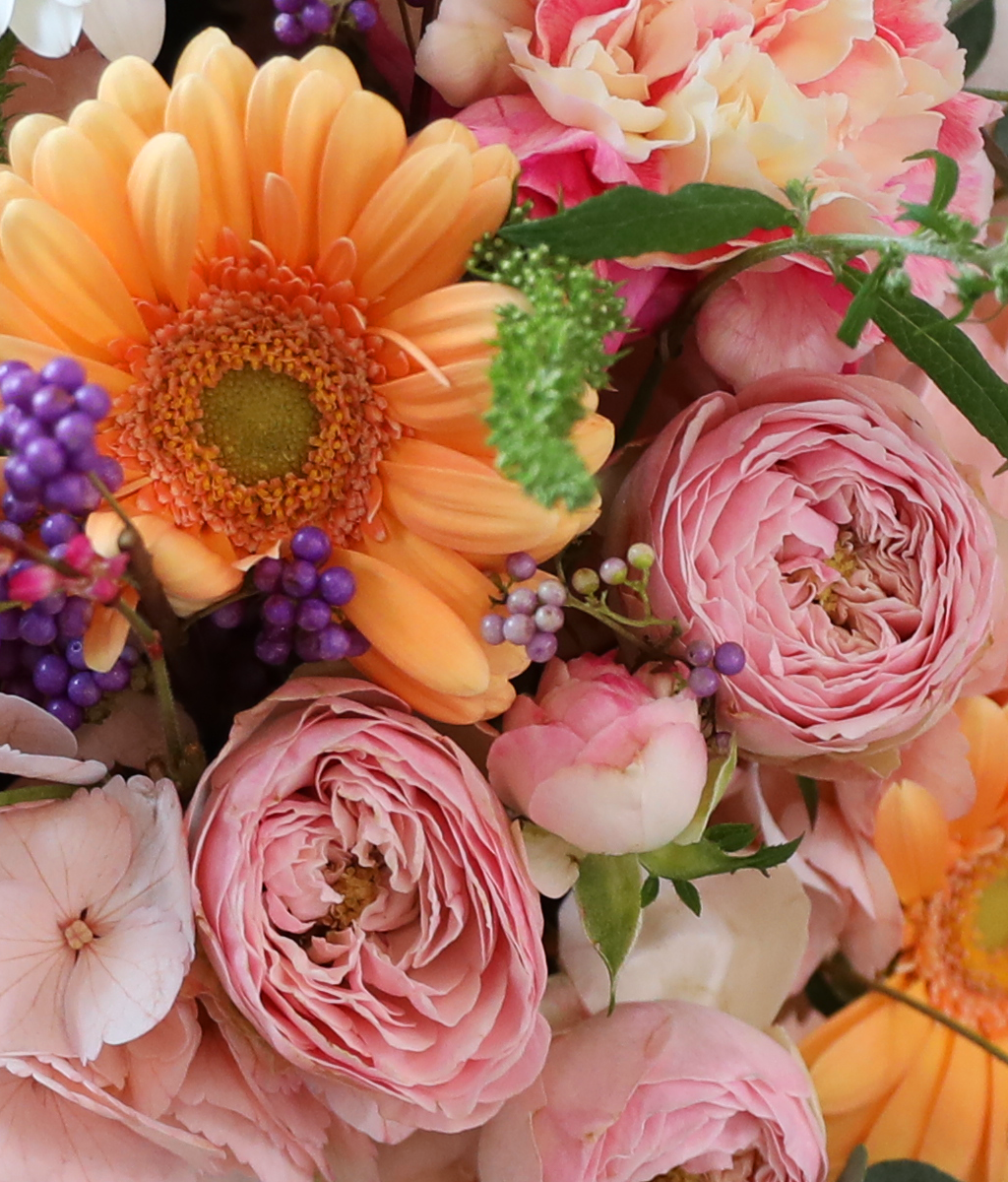 ��ũ�� ������ ���� ���� �ɹ��