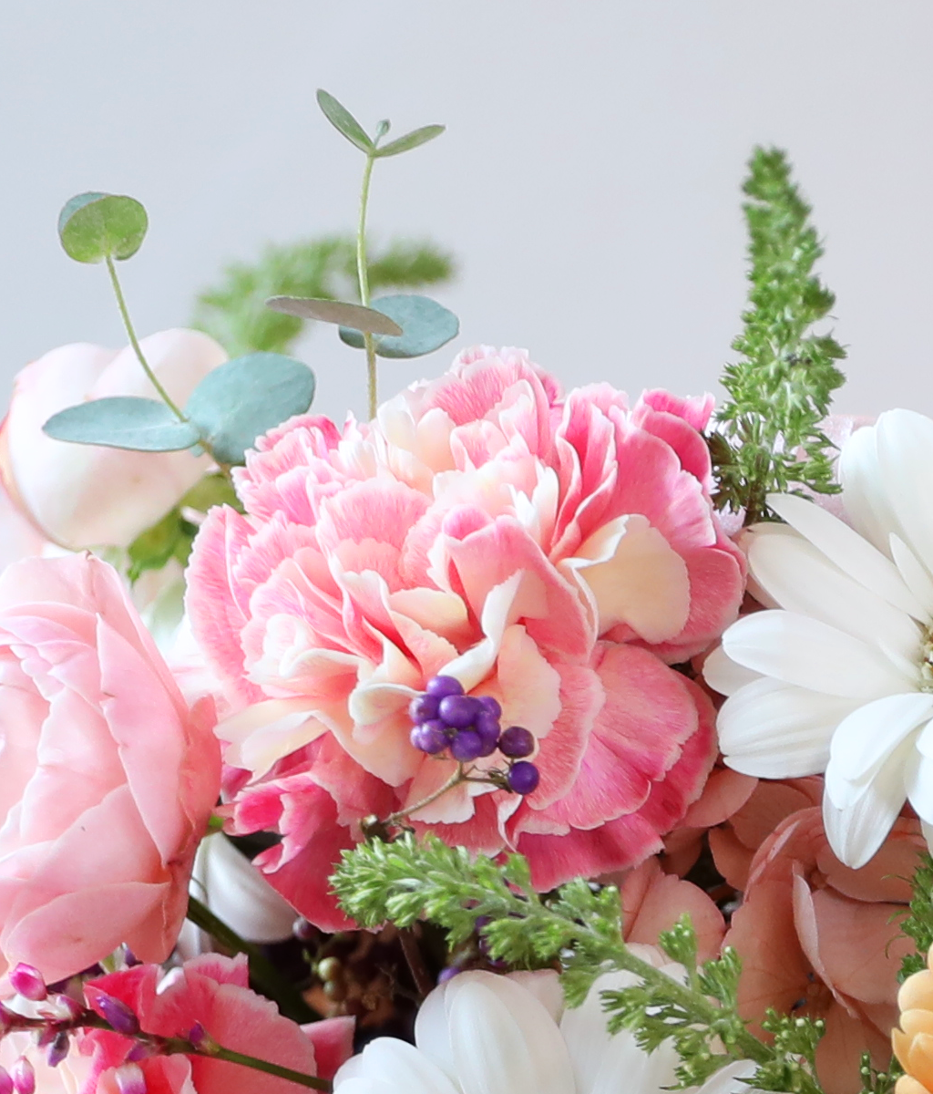 ��ũ�� ������ ���� ���� �ɹ��