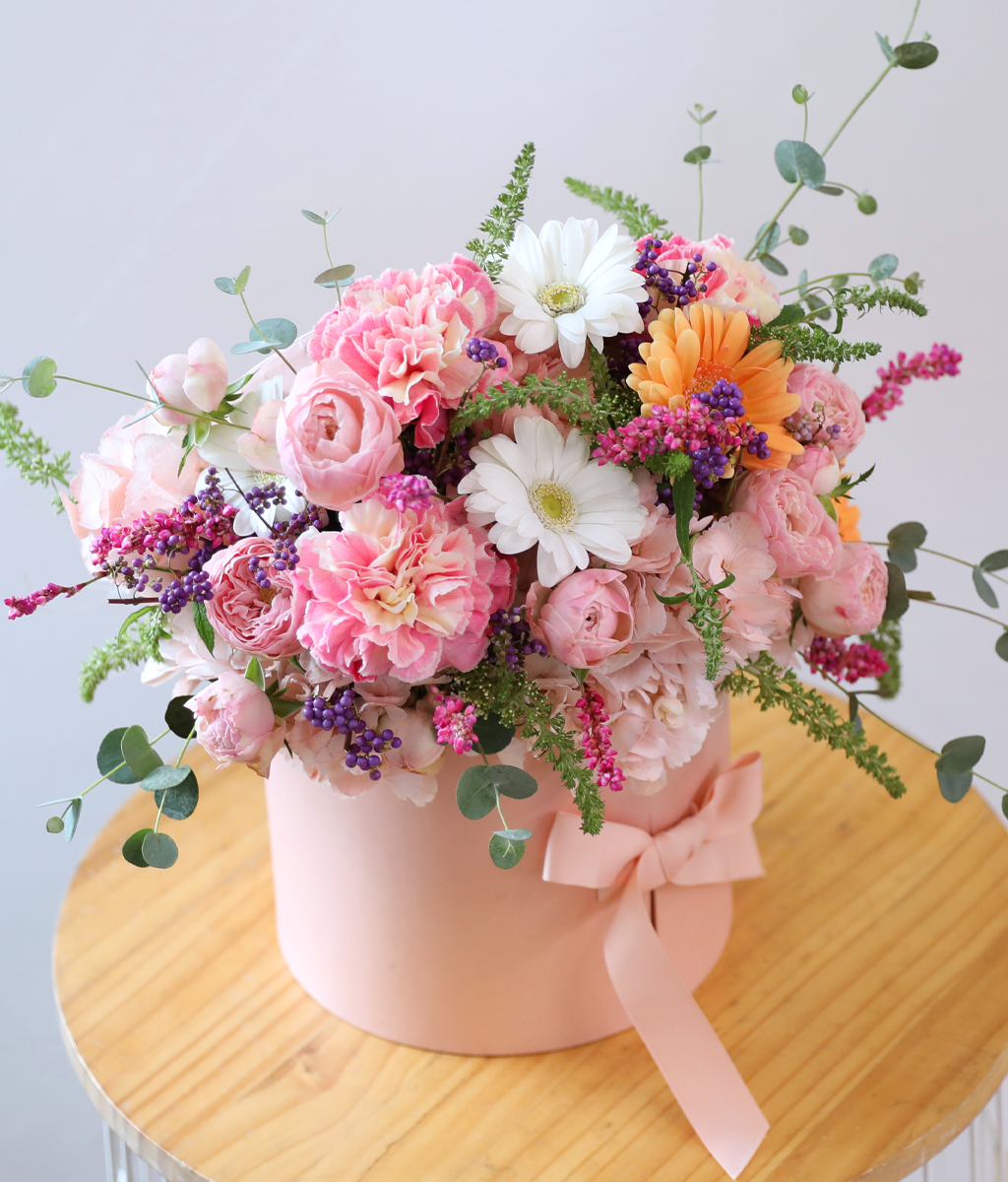 ��ũ�� ������ ���� ���� �ɹ��