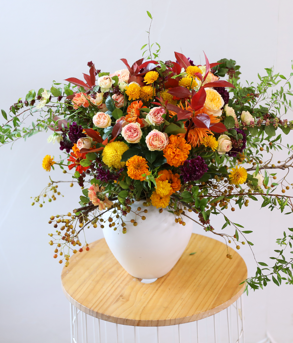 ������ ���� ������ �޻� ���� �ɹ��