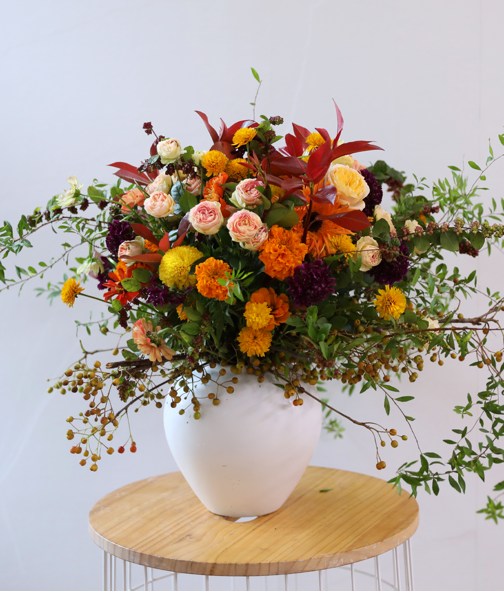 ������ ���� ������ �޻� ���� �ɹ��