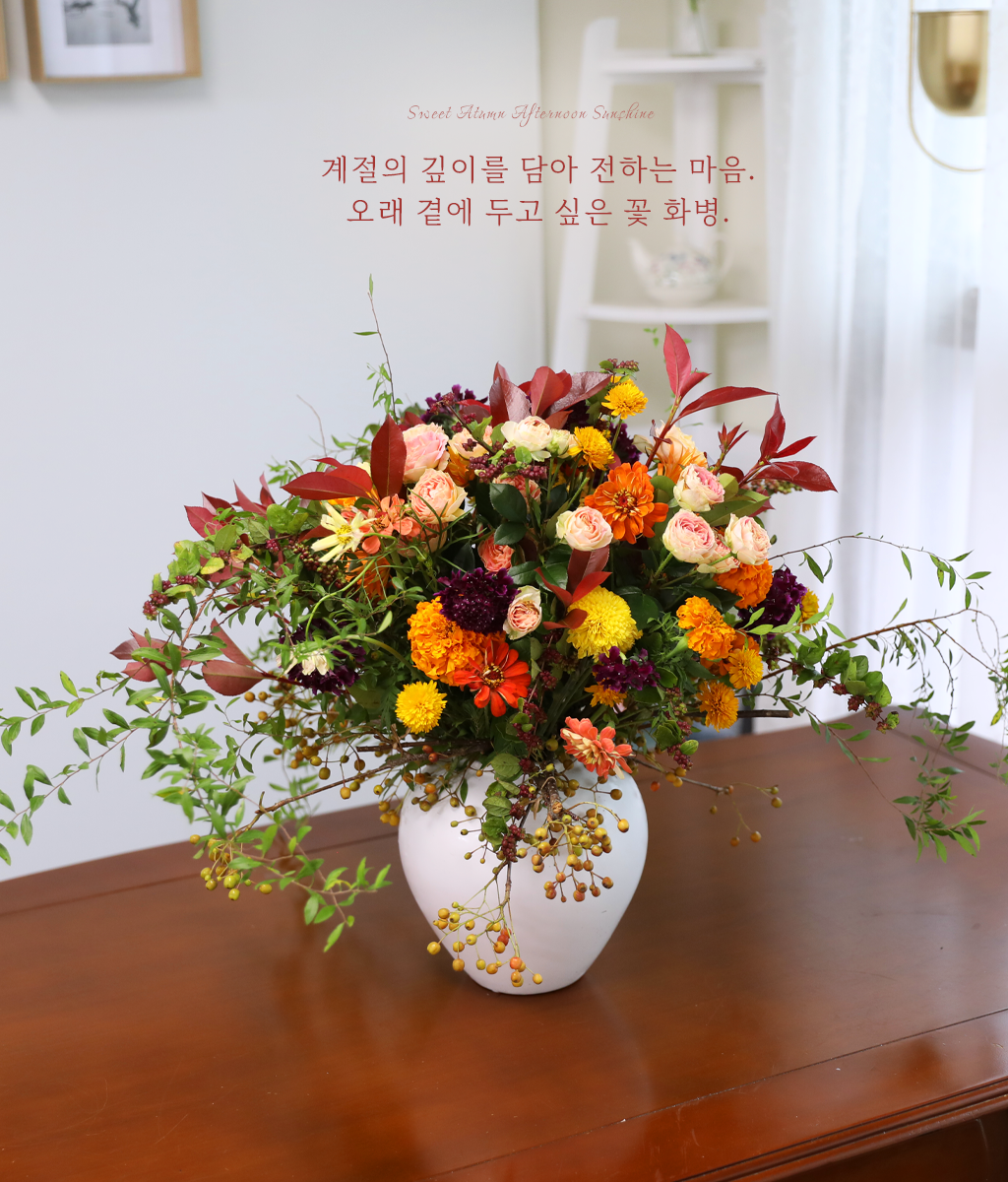 ������ ���� ������ �޻� ���� �ɹ��