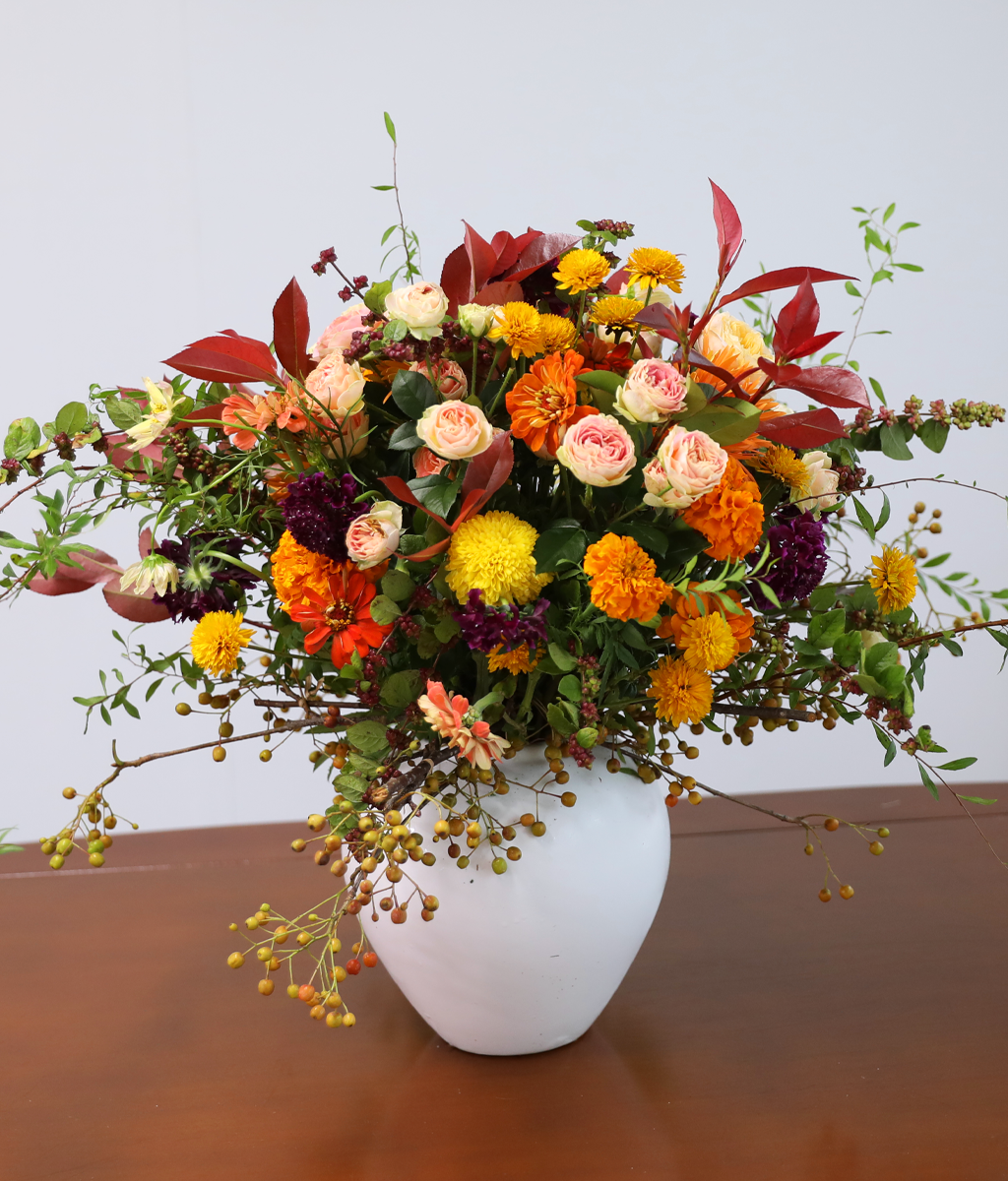 ������ ���� ������ �޻� ���� �ɹ��