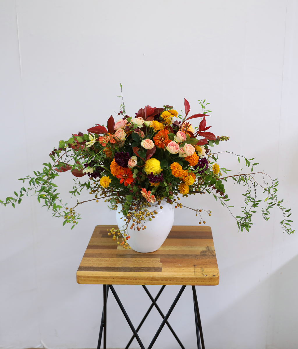 ������ ���� ������ �޻� ���� �ɹ��