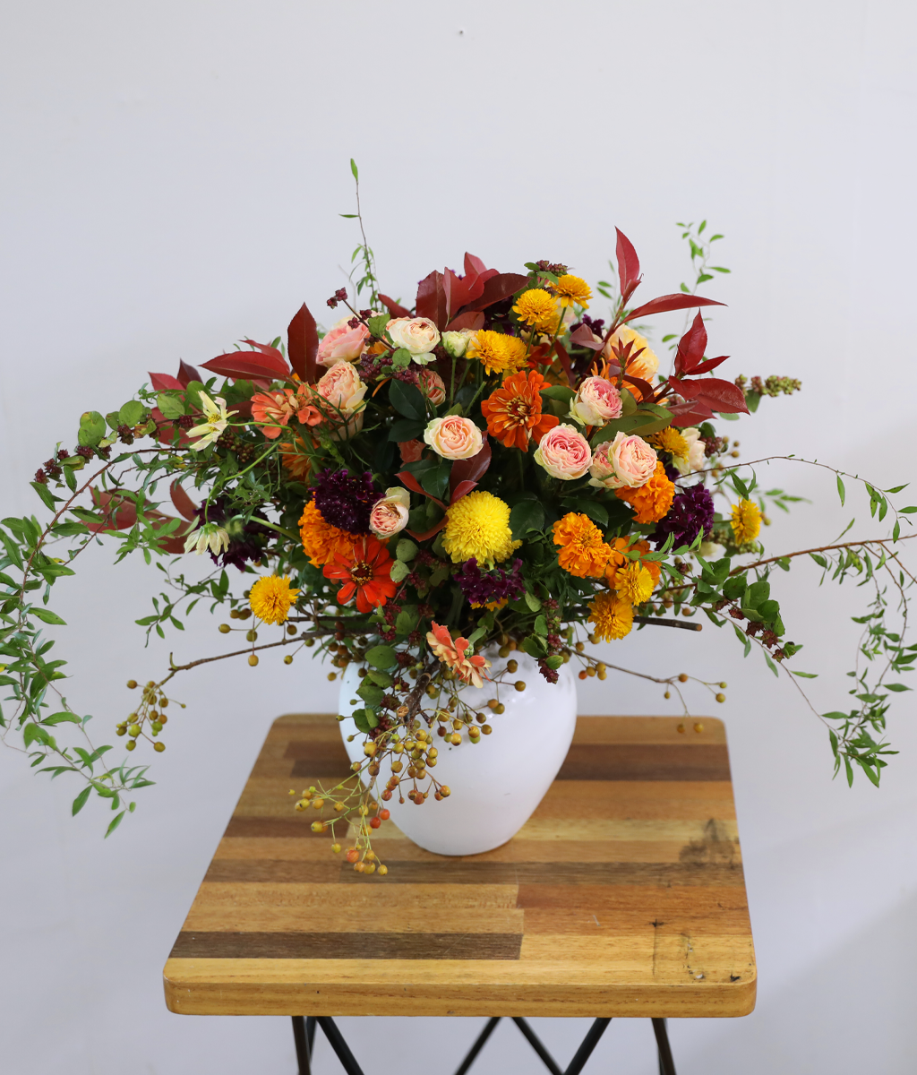 ������ ���� ������ �޻� ���� �ɹ��