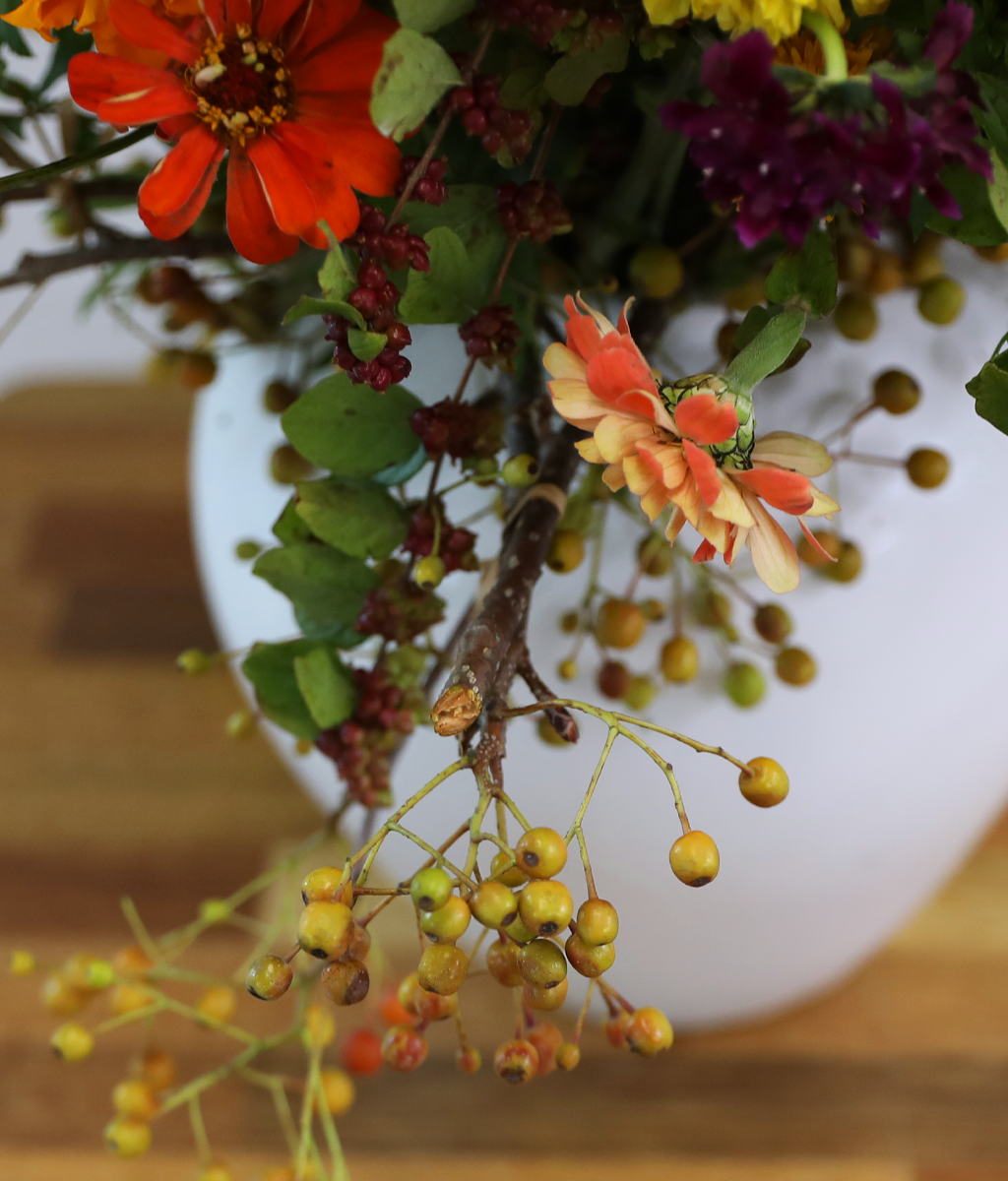 ������ ���� ������ �޻� ���� �ɹ��