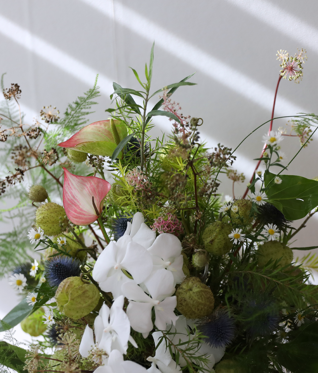 Garden of Timeless Trust ���� �ɹ��