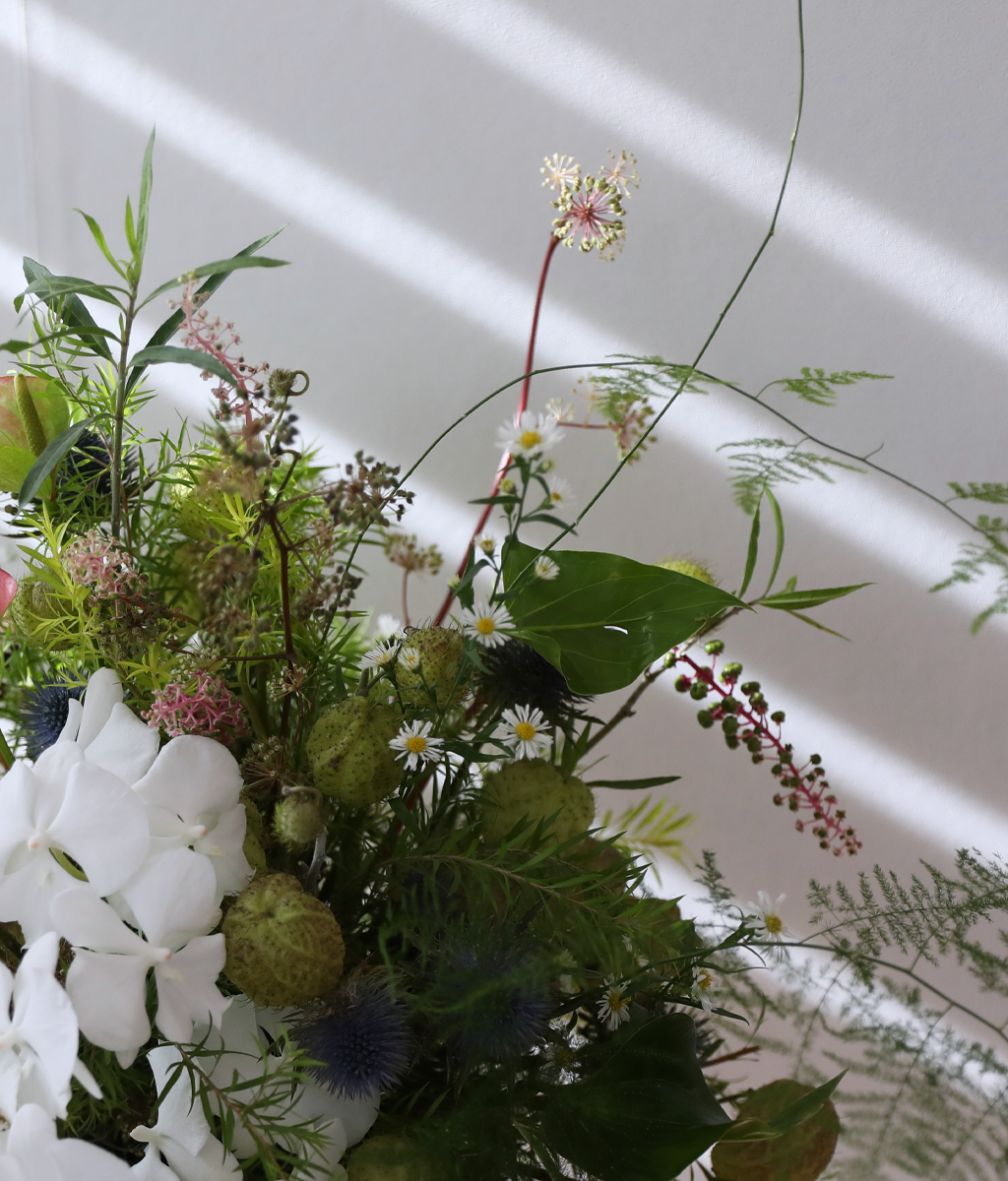 Garden of Timeless Trust ���� �ɹ��