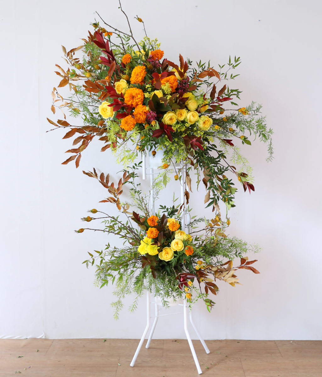 Brilliantly Ripened Today ���� �ɹ��