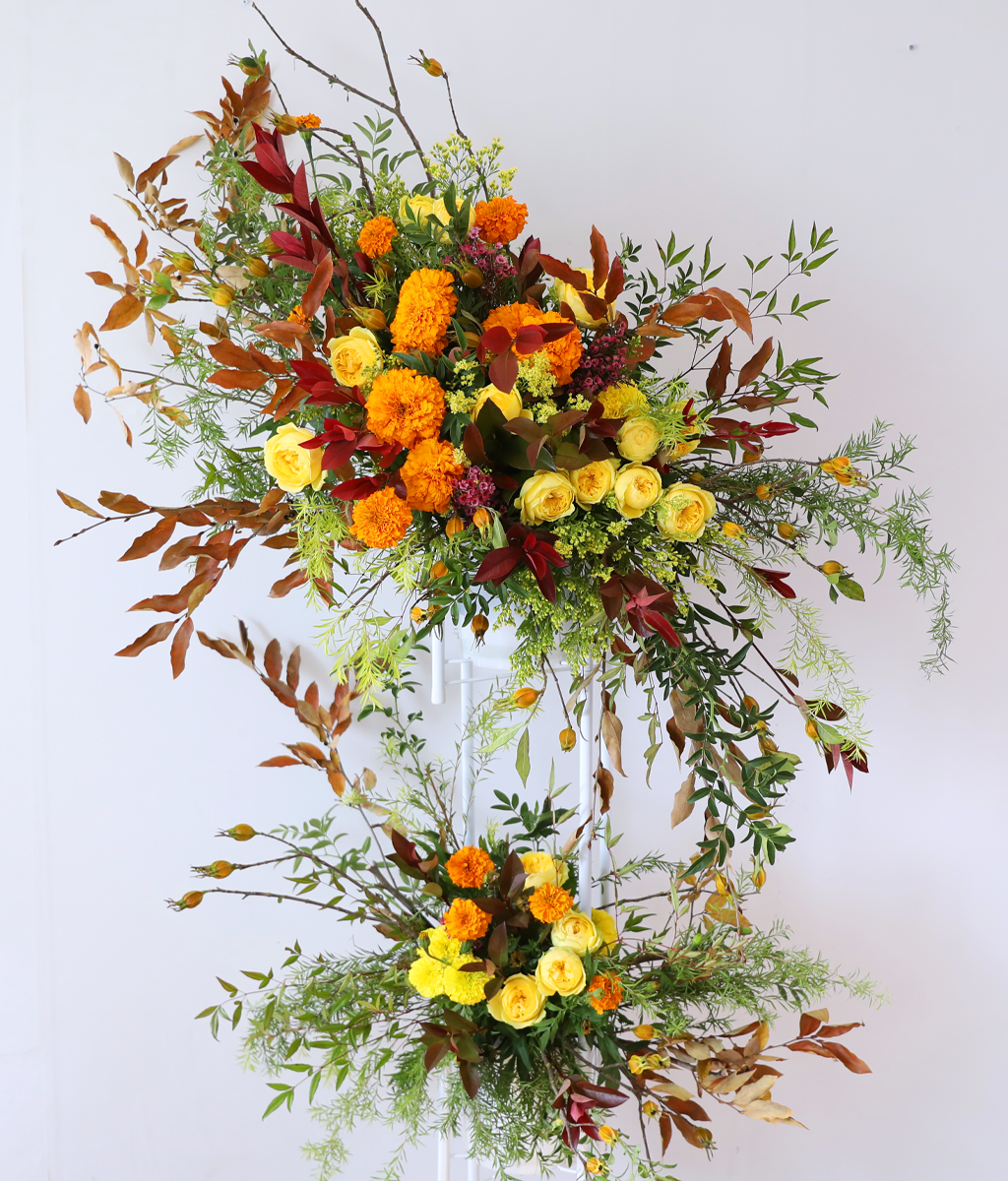 Brilliantly Ripened Today ���� �ɹ��