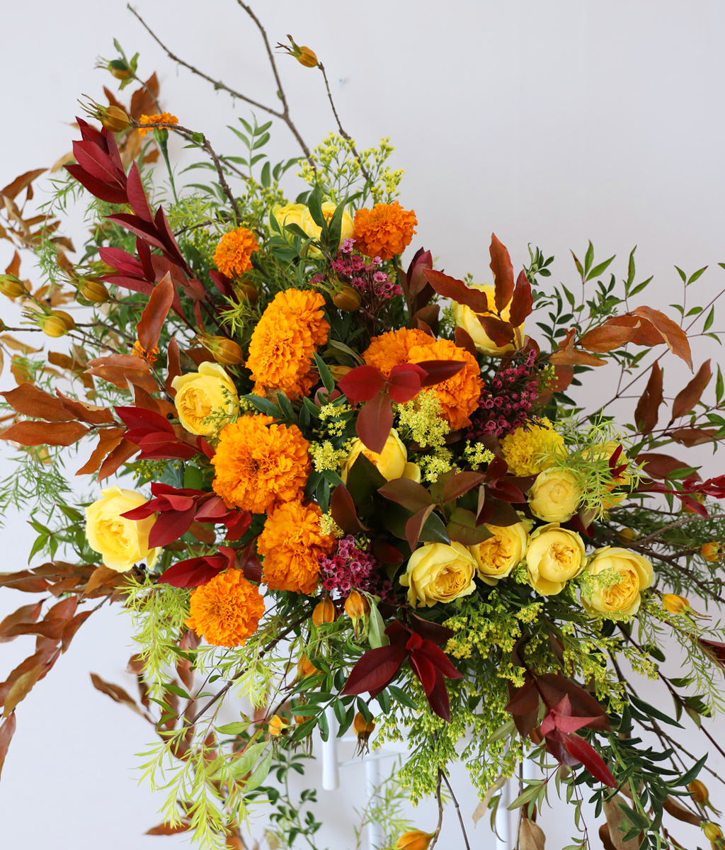 Brilliantly Ripened Today ���� �ɹ��