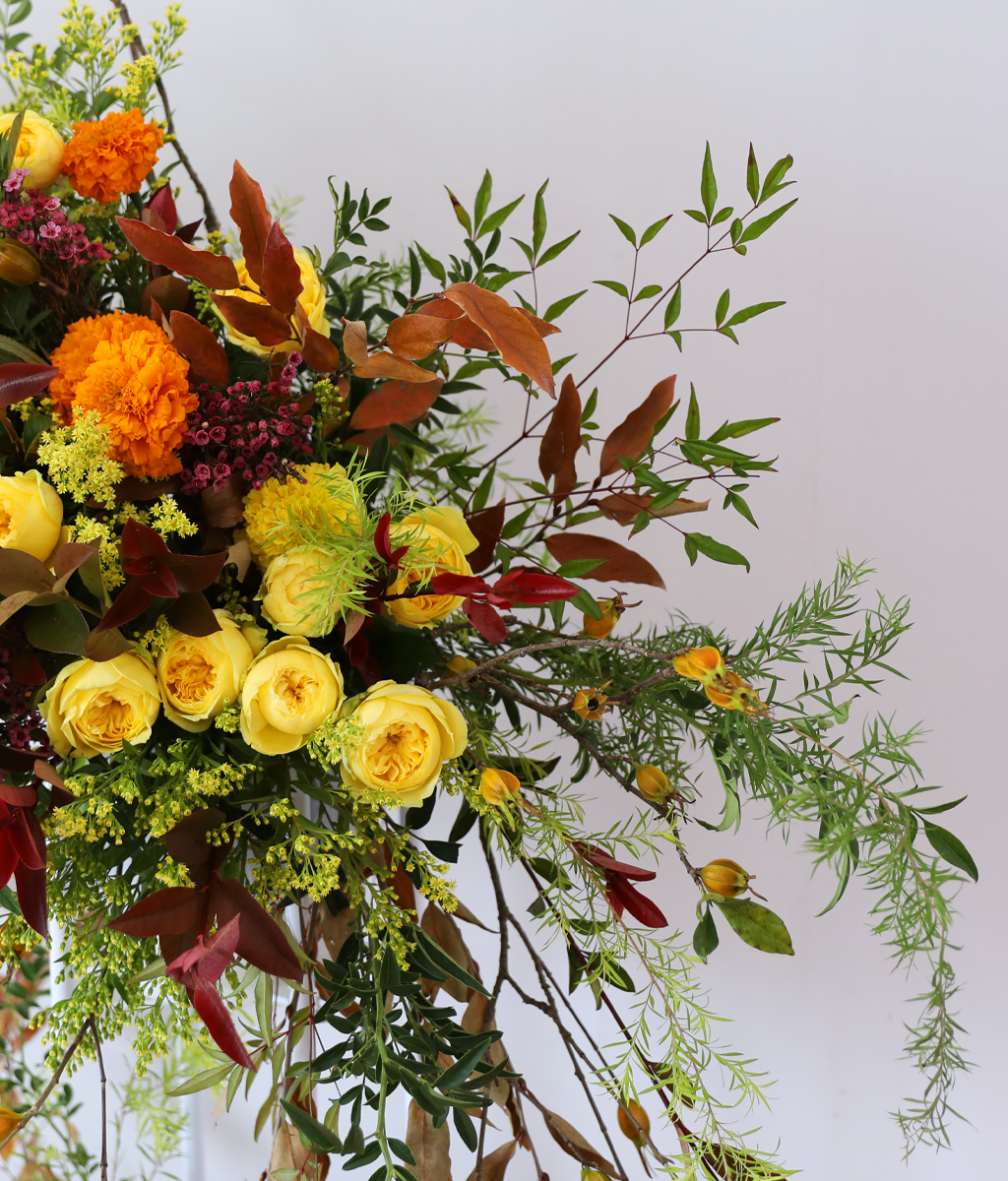 Brilliantly Ripened Today ���� �ɹ��