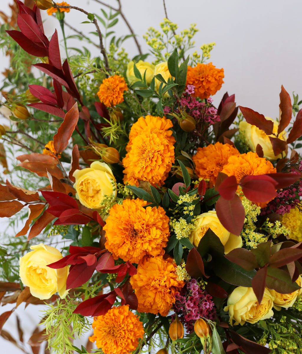 Brilliantly Ripened Today ���� �ɹ��