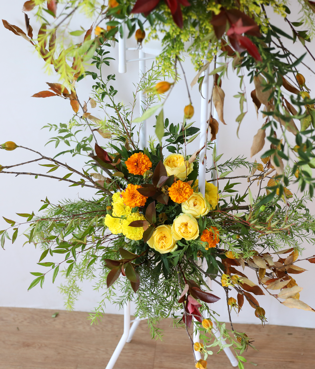 Brilliantly Ripened Today ���� �ɹ��