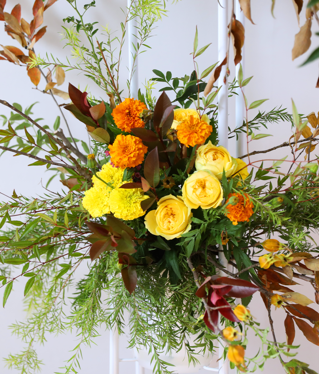 Brilliantly Ripened Today ���� �ɹ��