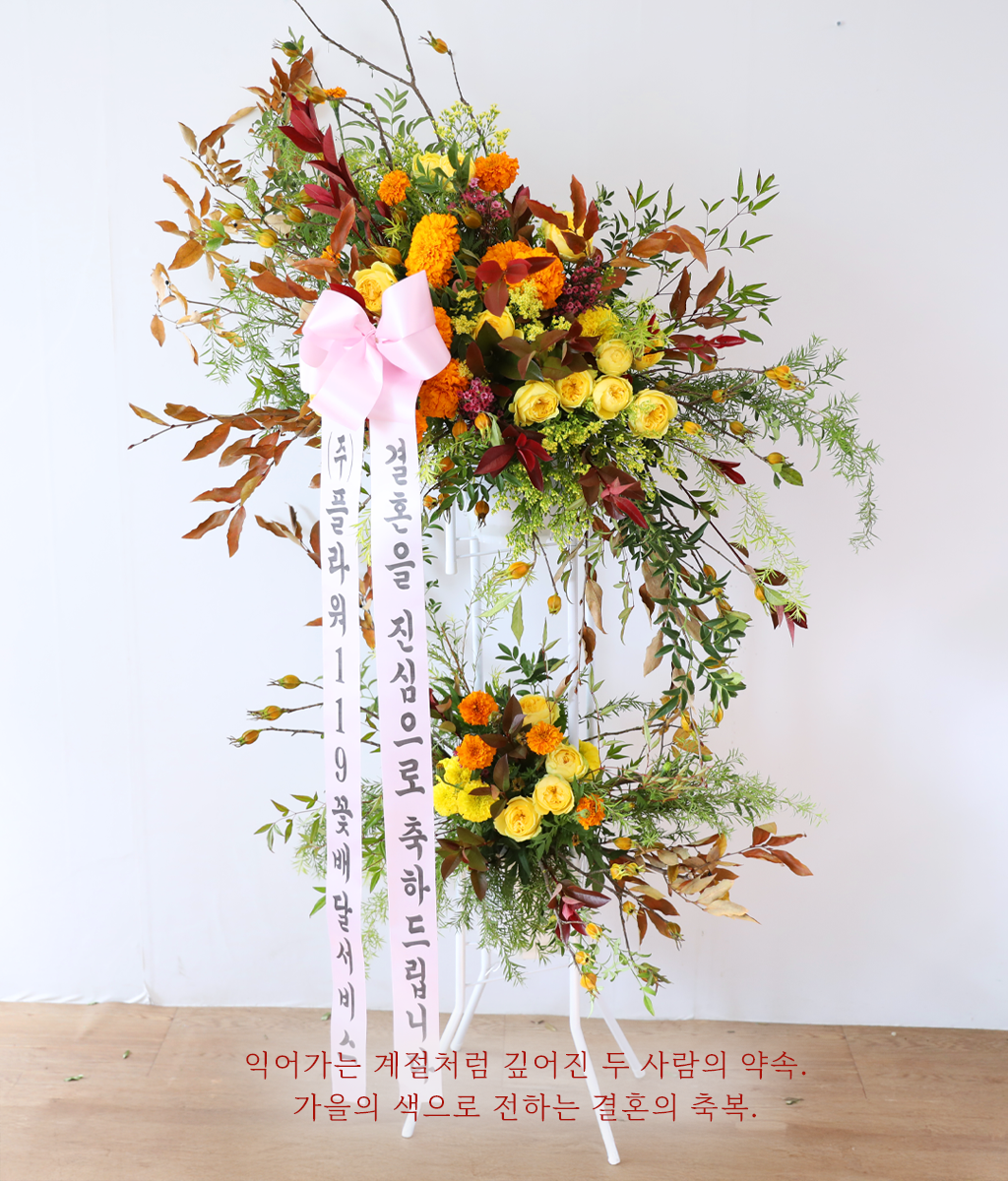 Brilliantly Ripened Today ���� �ɹ��