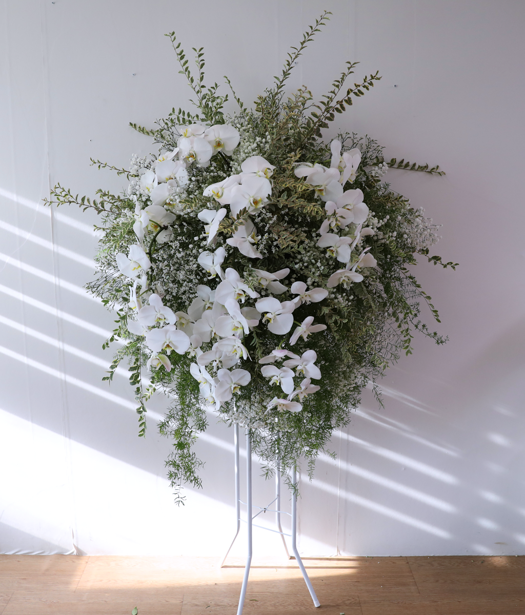 ������ �Ƚ��� ���� ���� �ɹ��