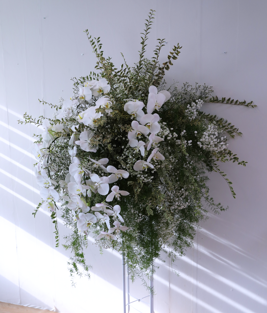 ������ �Ƚ��� ���� ���� �ɹ��