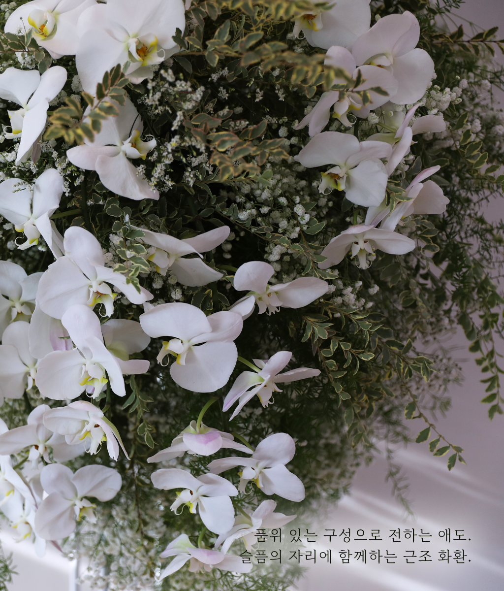 ������ �Ƚ��� ���� ���� �ɹ��