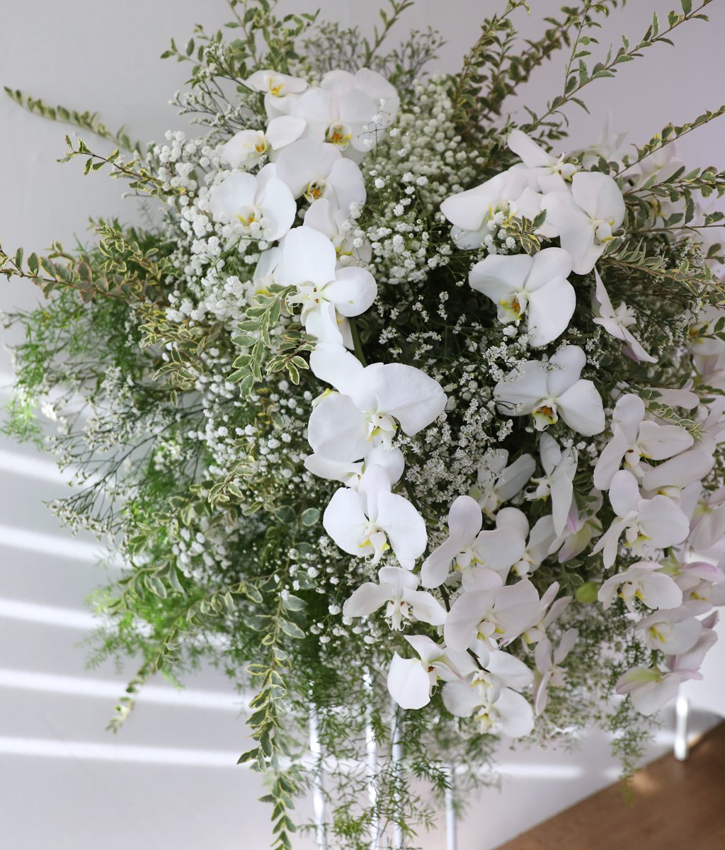 ������ �Ƚ��� ���� ���� �ɹ��