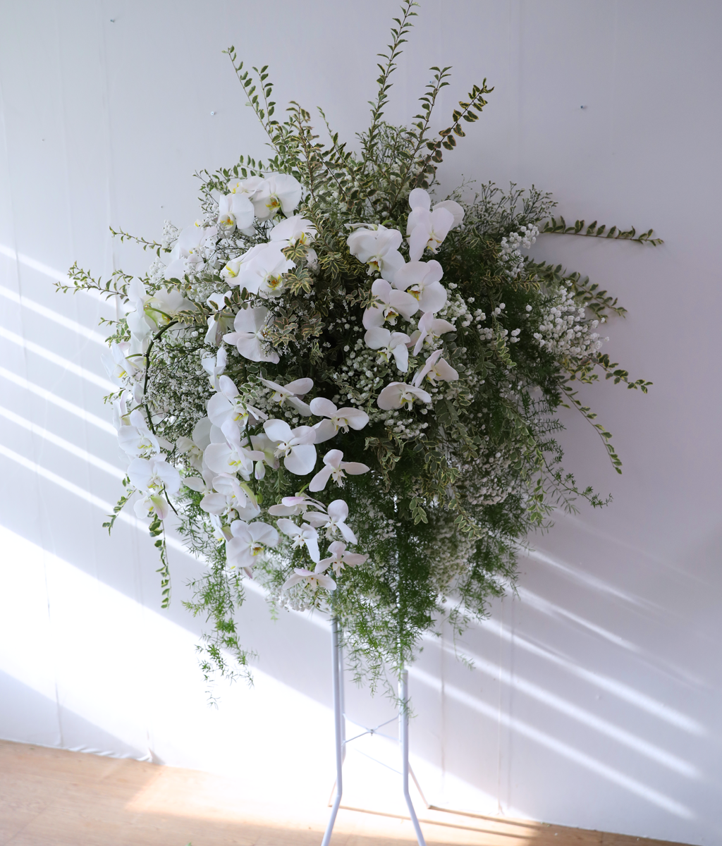 ������ �Ƚ��� ���� ���� �ɹ��