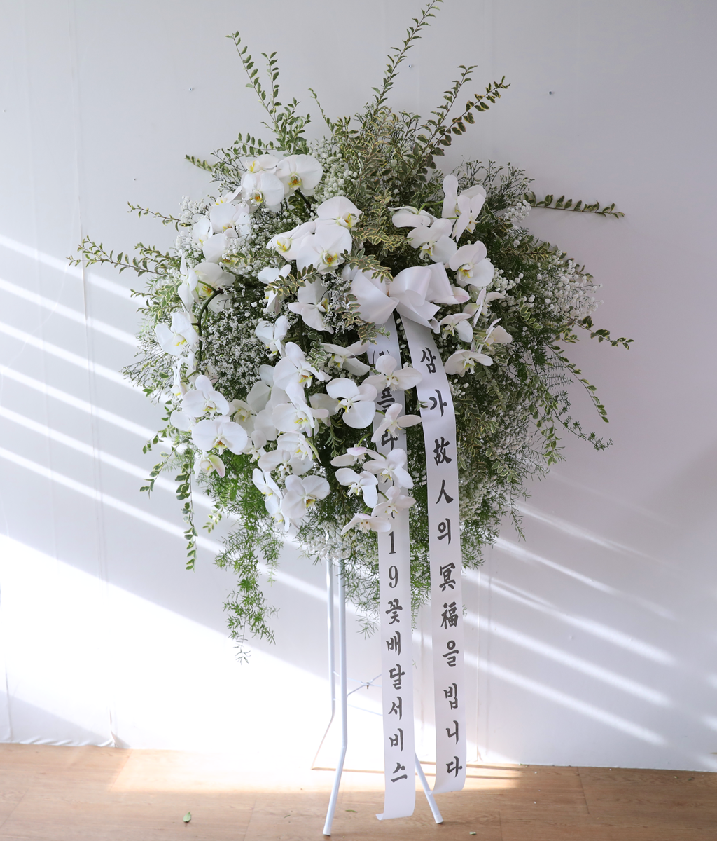 ������ �Ƚ��� ���� ���� �ɹ��