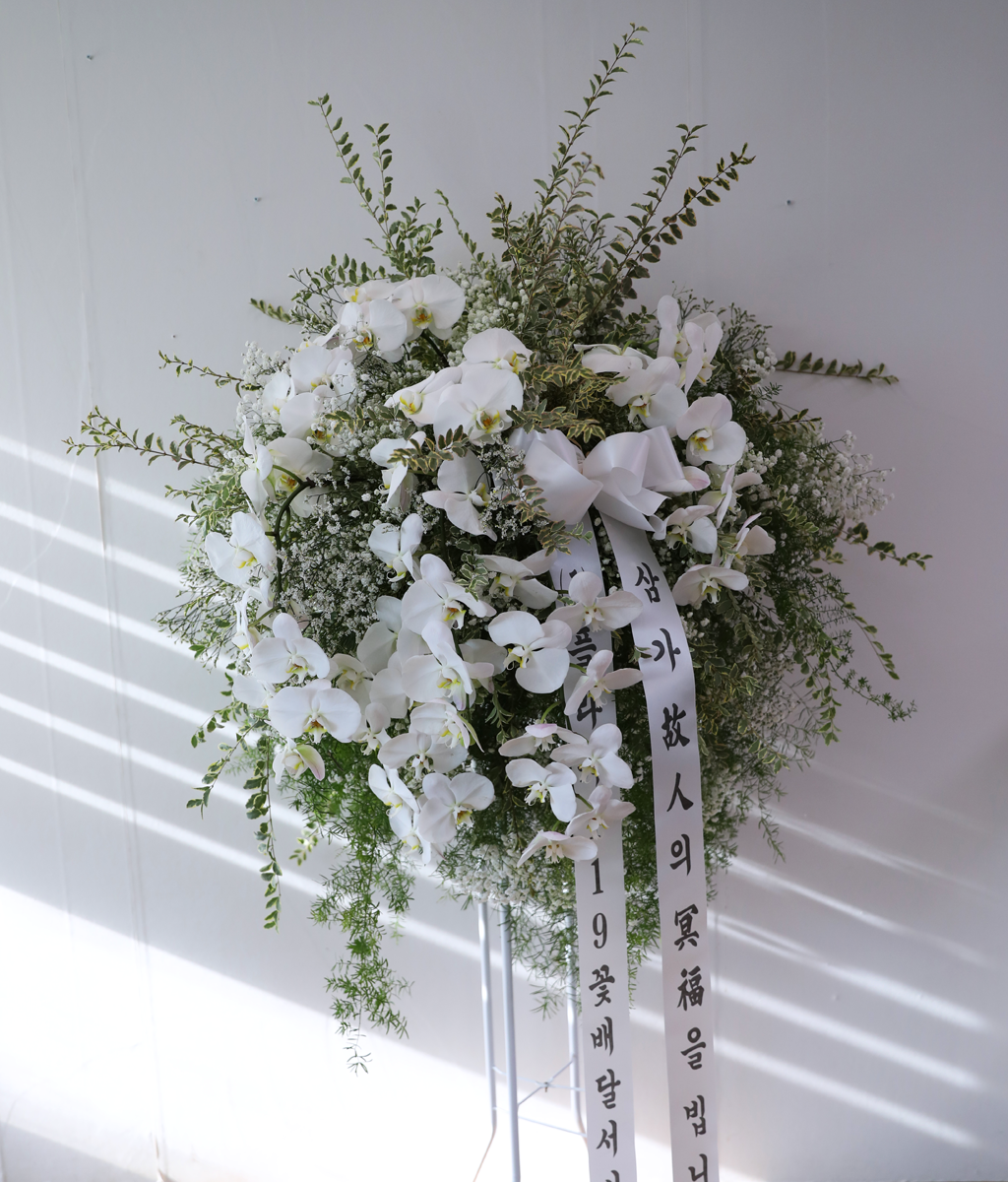 ������ �Ƚ��� ���� ���� �ɹ��